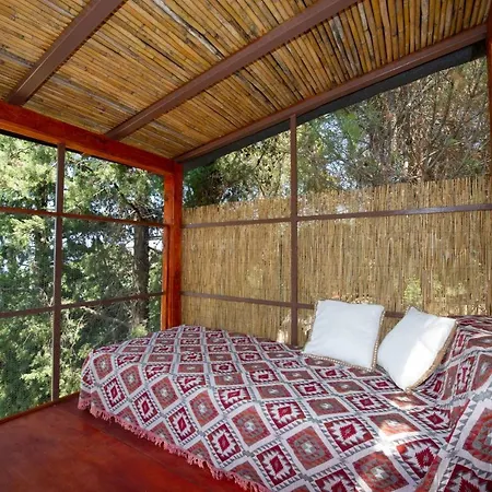 Σπίτι διακοπών Wild Oak Estate - Stunning Views At A Dreamy Location, By Zantewize Αργάσι